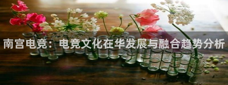 永利皇官官网