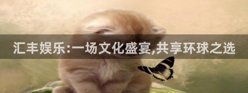 壹号平台注册链接官网下载