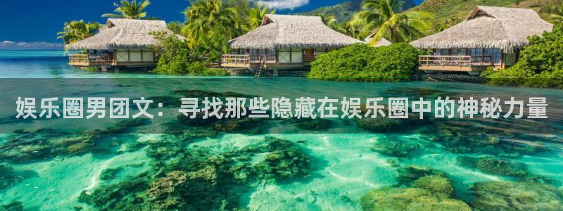 伟德国际集团 壹号(one game)