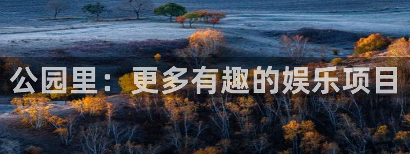 壹号top娱乐
