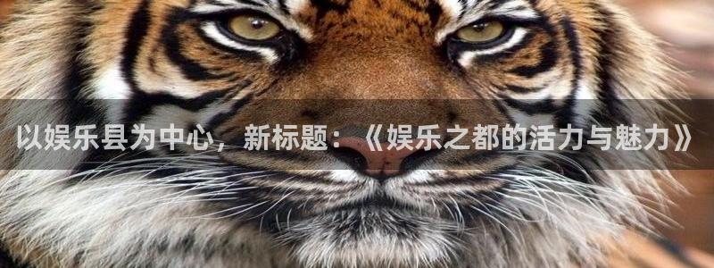 壹号app下载官方网站