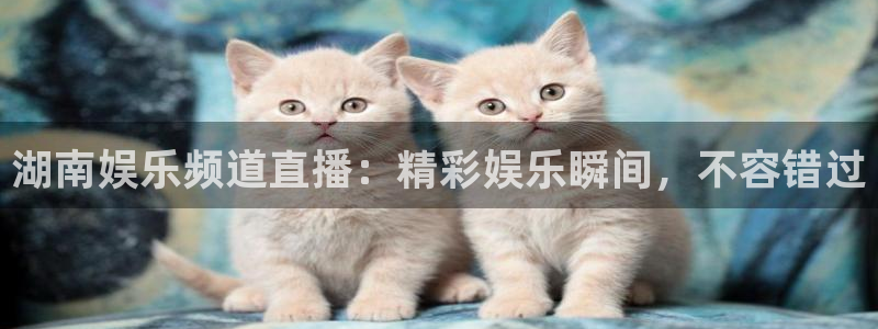 永利皇官怎么下载