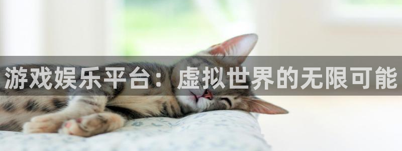 壹号平台下载安装官网