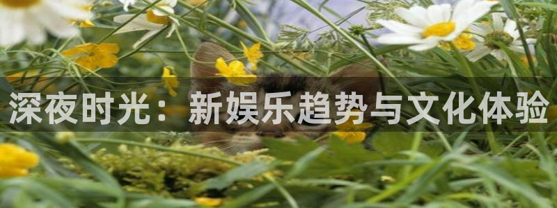 永利皇官官网下载
