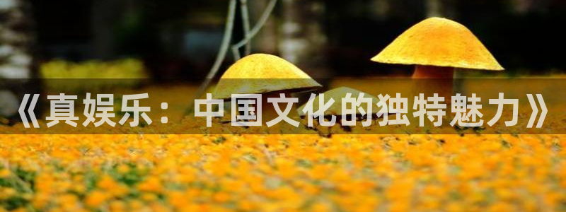 永利皇官官网入口
