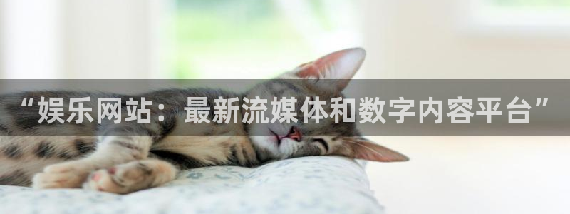 壹号电子娱乐app下载官网：“娱乐网站：最新流媒体和数字内容平台”