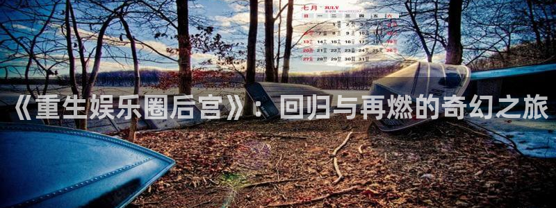 永利皇官app下载：《重生娱乐圈后宫》：回归与再燃的奇幻之旅