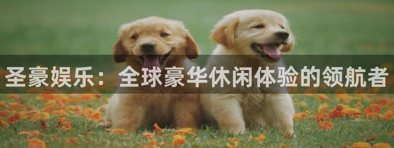 壹号app下载苹果：圣豪娱乐：全球豪华休闲体验的领航者