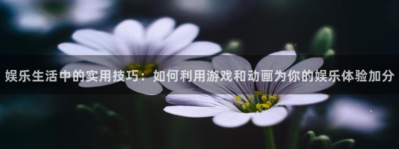 壹号top娱乐：娱乐生活中的实用技巧：如何利用游戏和动画为你的娱乐体验加分