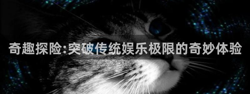 壹号平台下载安装：奇趣探险:突破传统娱乐极限的奇妙体验